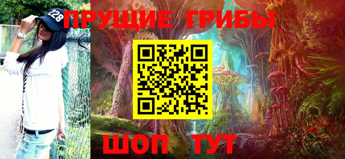 что такое   Псилоцибиновые грибы ЛСД  Вход с VPN  Чусовой 