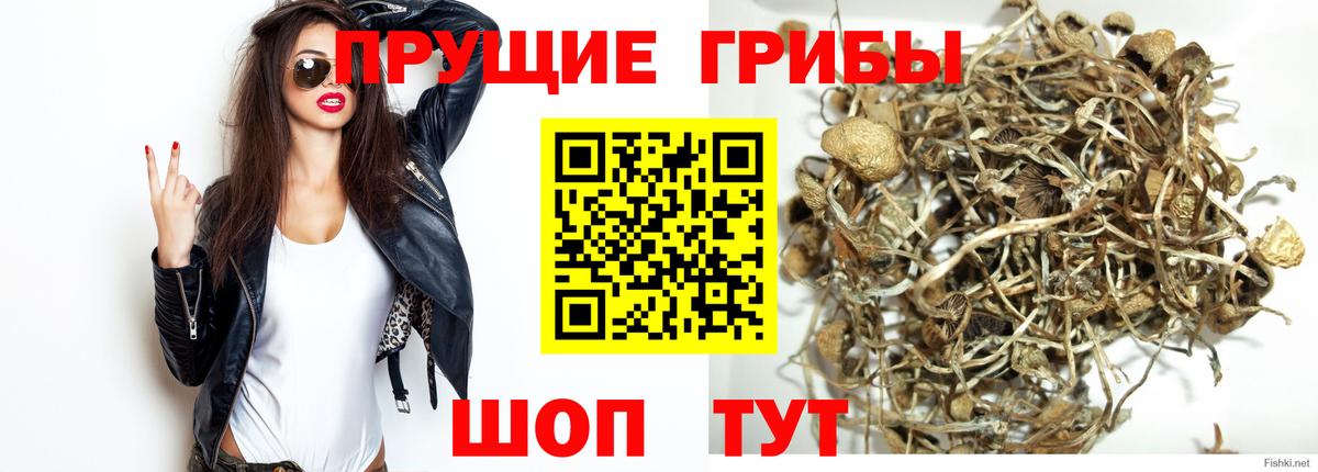 Псилоцибиновые грибы Magic Shrooms Чусовой
